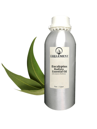 Eucalyptus Radiata Essential Oil - Edible