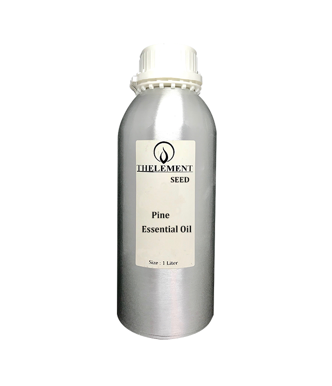 Pine Essential Oil